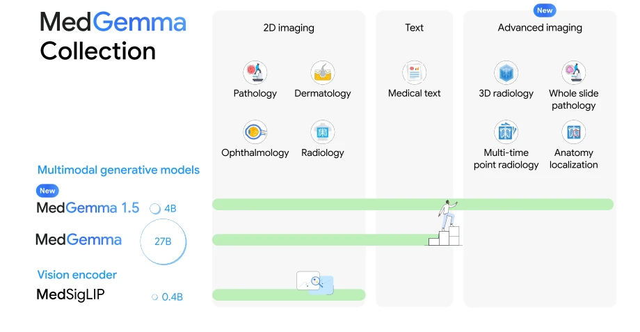 Benchmark MedGemma 1.5 su classificazione CT 3D, MRI volumetrica e istologia whole-slide